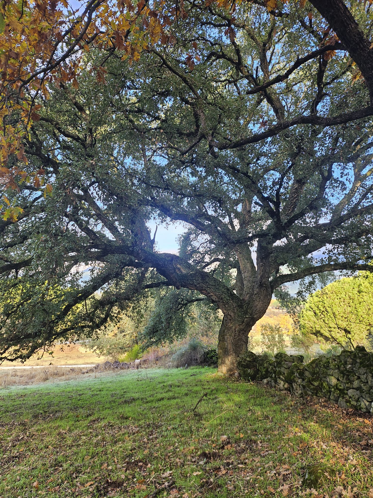 whatsapp image 2025 12 11 at 12.11.23